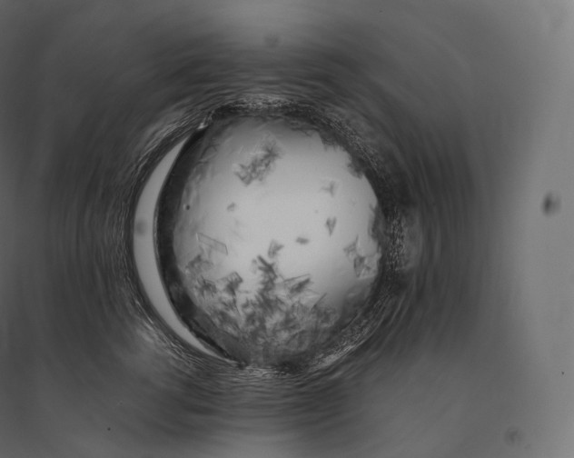 X0000094360762200711241937