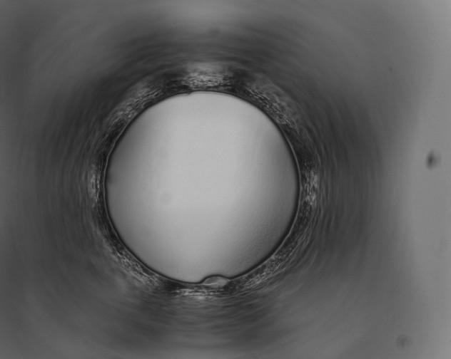 X0000094360763200711241937