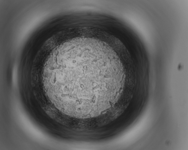 X0000094360765200711241937