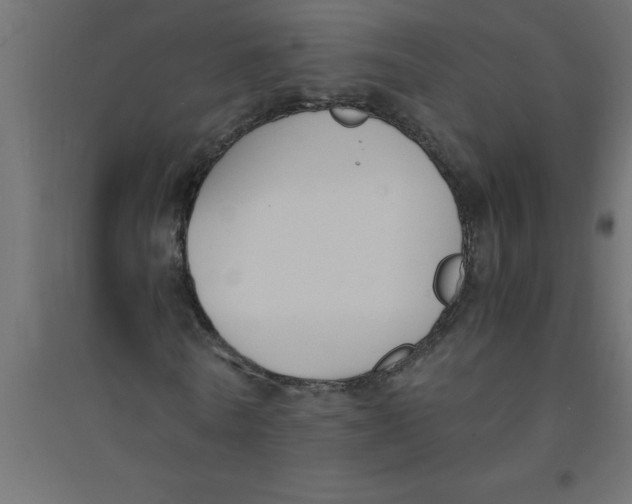 X0000094360770200711241936