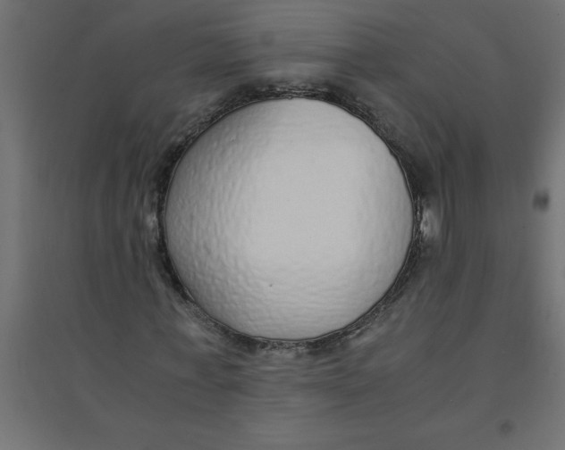 X0000094360771200711241936