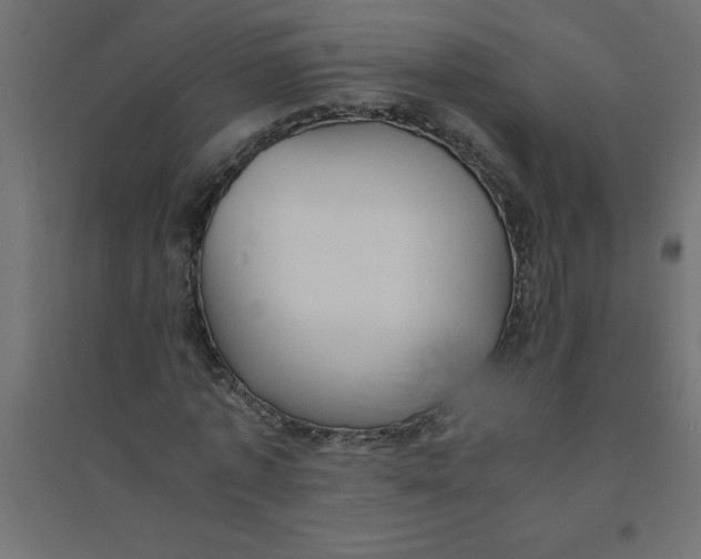 X0000094360773200711241936