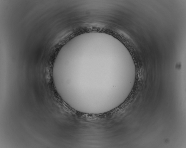 X0000094360774200711241936