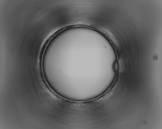 X0000094360780200711241936