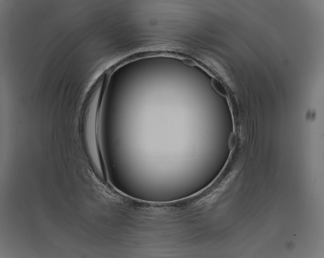 X0000094360781200711241936