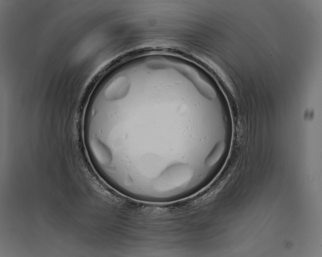 X0000094360783200711241936