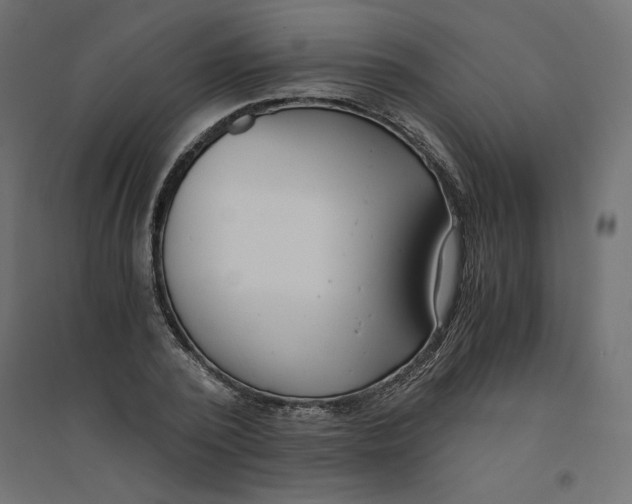 X0000094360784200711241936