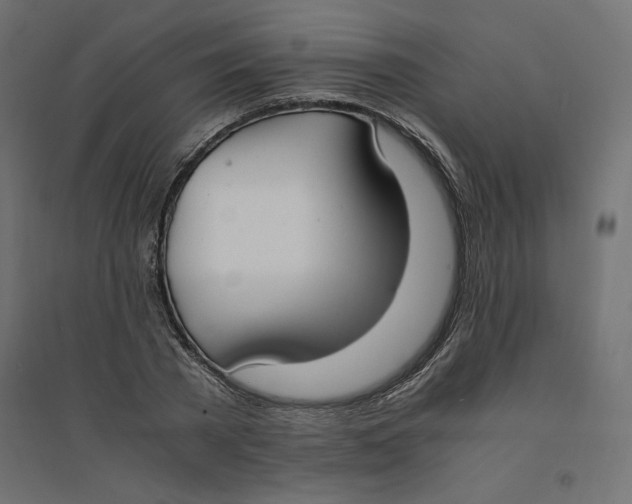 X0000094360785200711241936