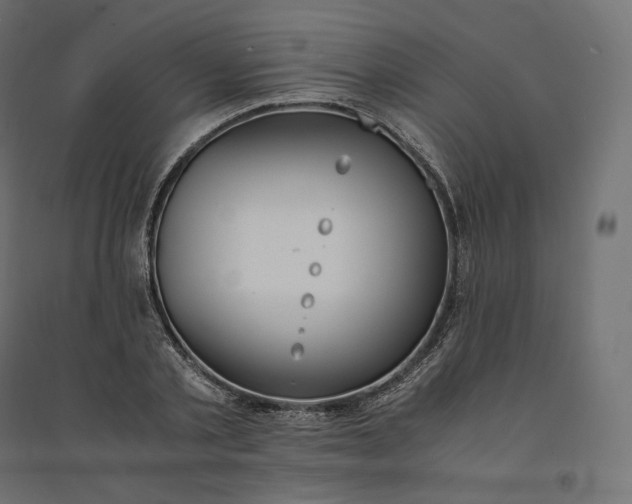 X0000094360789200711241936