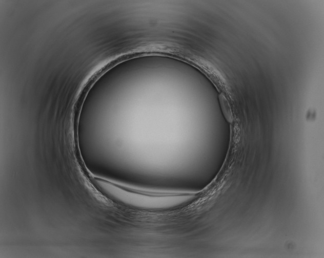 X0000094360792200711241936