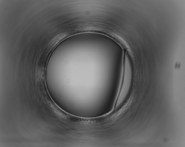 X0000094360793200711241936