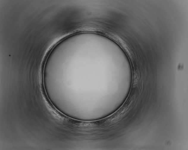 X0000094360795200711241936