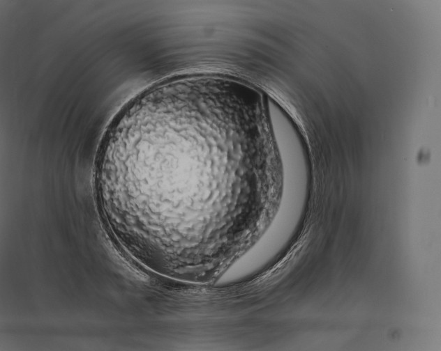 X0000094360797200711241936