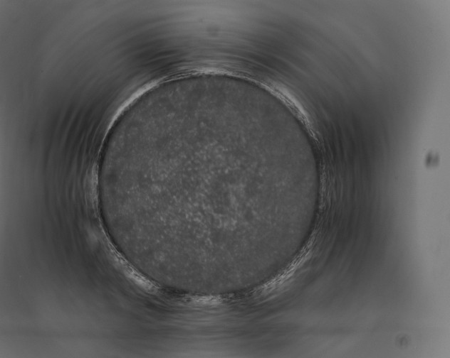 X0000094360798200711241936