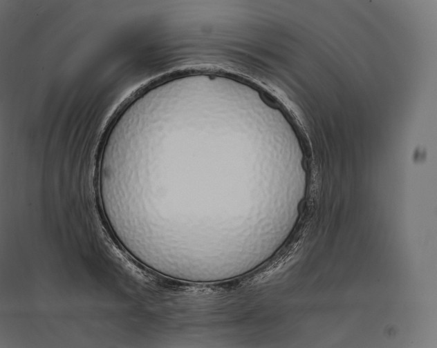 X0000094360799200711241936