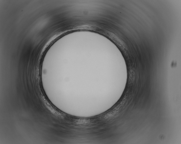 X0000094360800200711241936