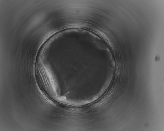 X0000094360802200711241936