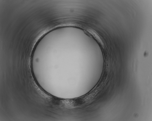 X0000094360805200711241936