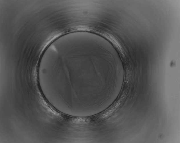 X0000094360806200711241936