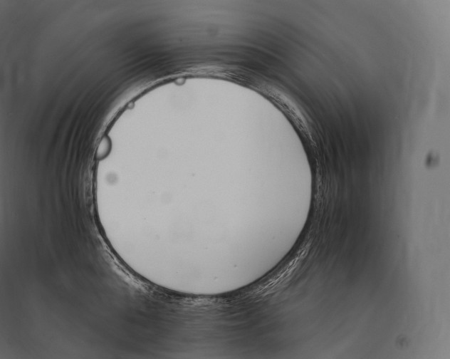 X0000094360808200711241936