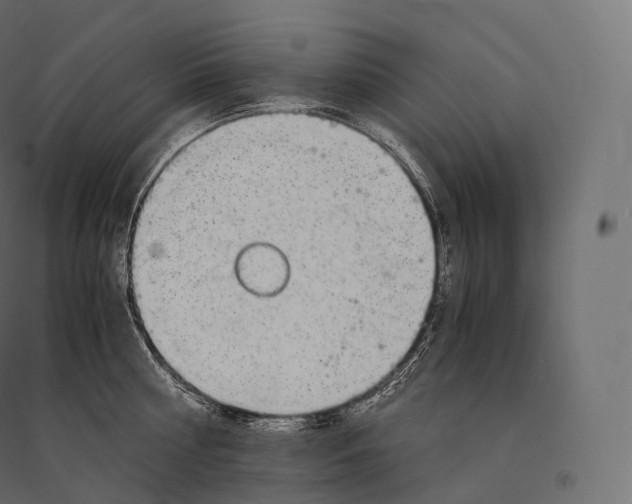 X0000094360810200711241936