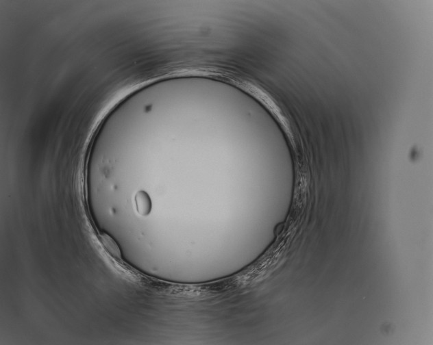 X0000094360811200711241936