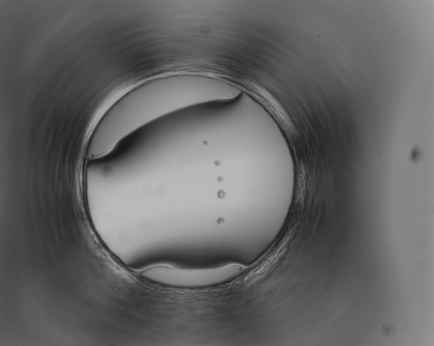 X0000094360812200711241936