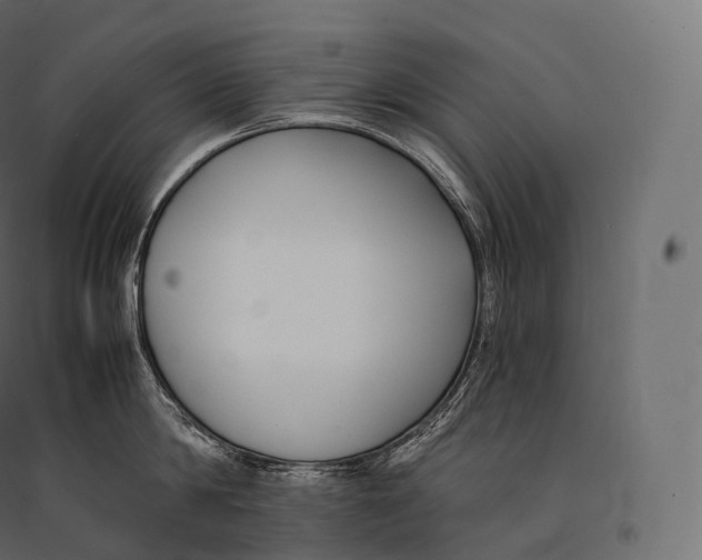 X0000094360814200711241936