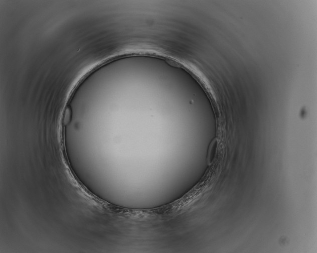 X0000094360815200711241936