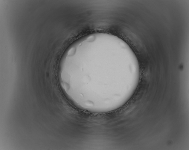 X0000094360817200711241935