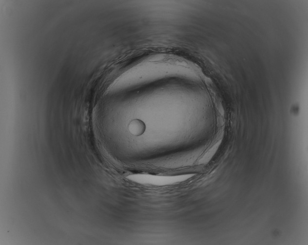 X0000094360818200711241935