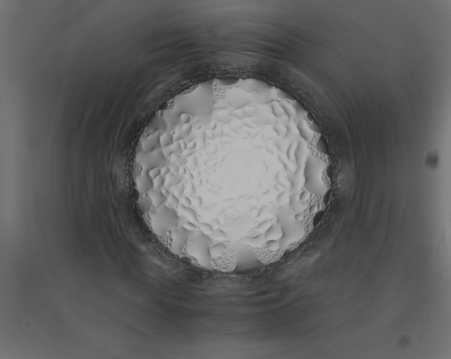 X0000094360819200711241935