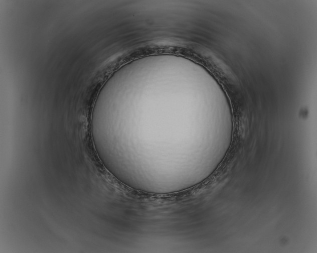 X0000094360821200711241935