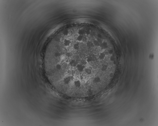 X0000094360823200711241935