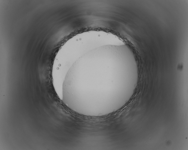 X0000094360824200711241935