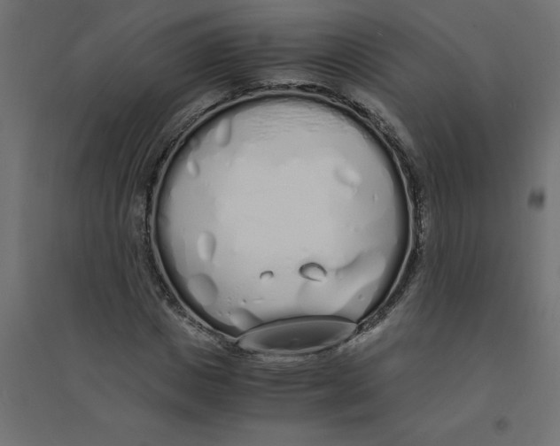 X0000094360825200711241935