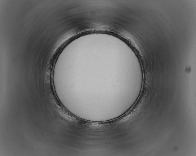 X0000094360827200711241935