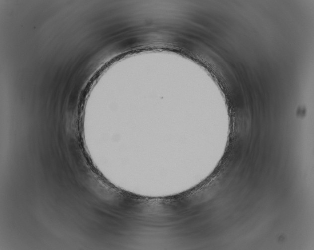 X0000094360828200711241935