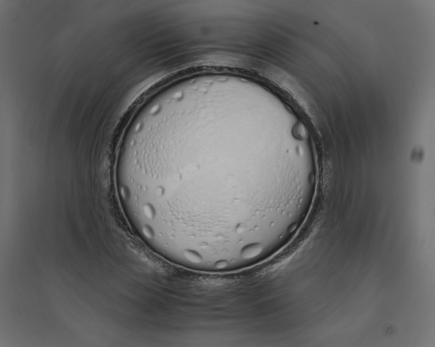 X0000094360829200711241935