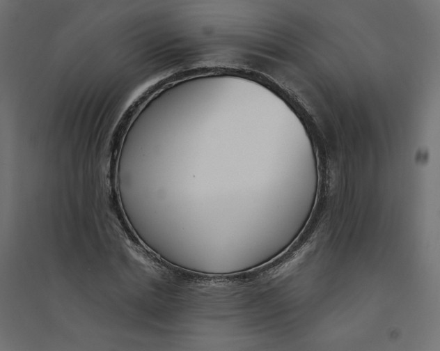 X0000094360830200711241935