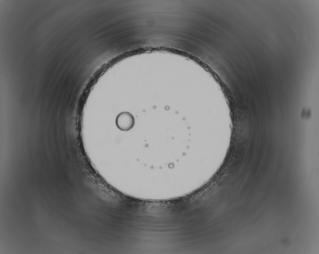 X0000094360832200711241935