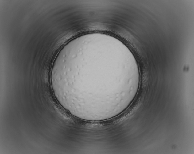 X0000094360833200711241935