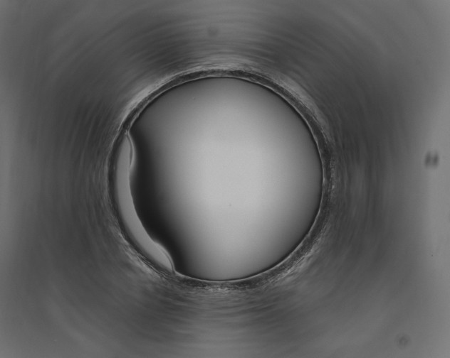 X0000094360834200711241935