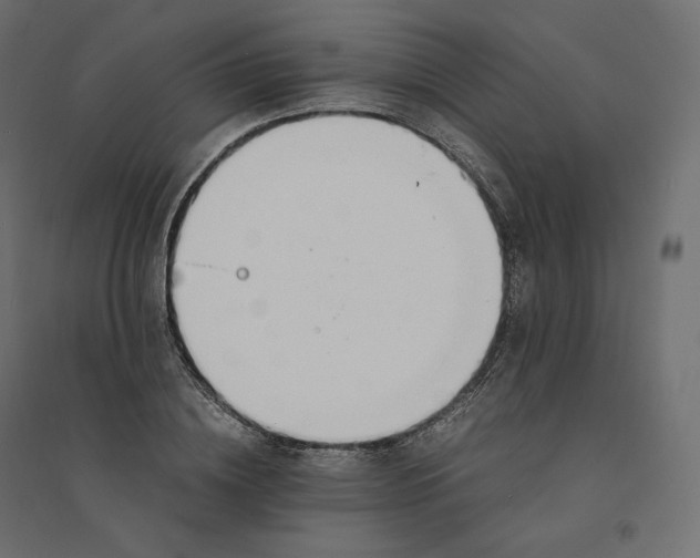 X0000094360836200711241935