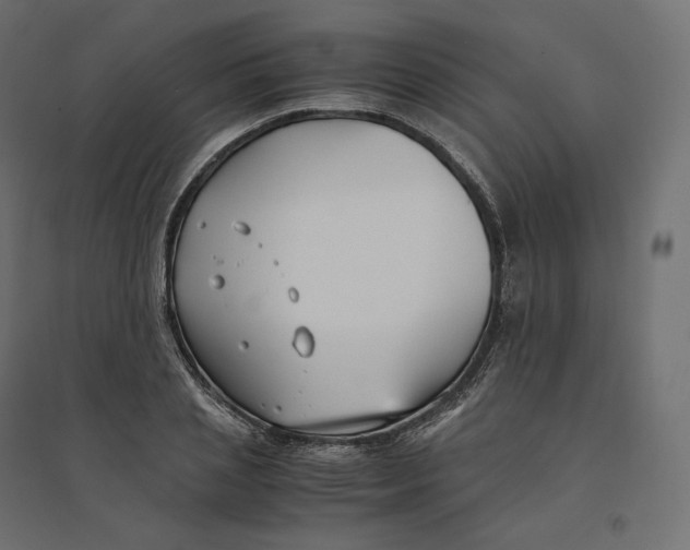 X0000094360837200711241935