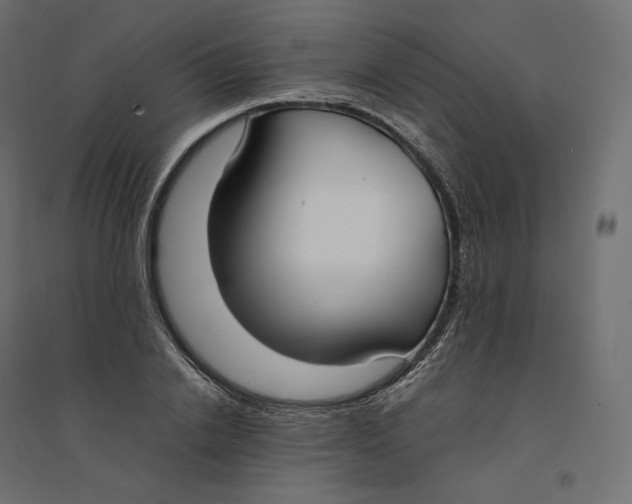 X0000094360838200711241935