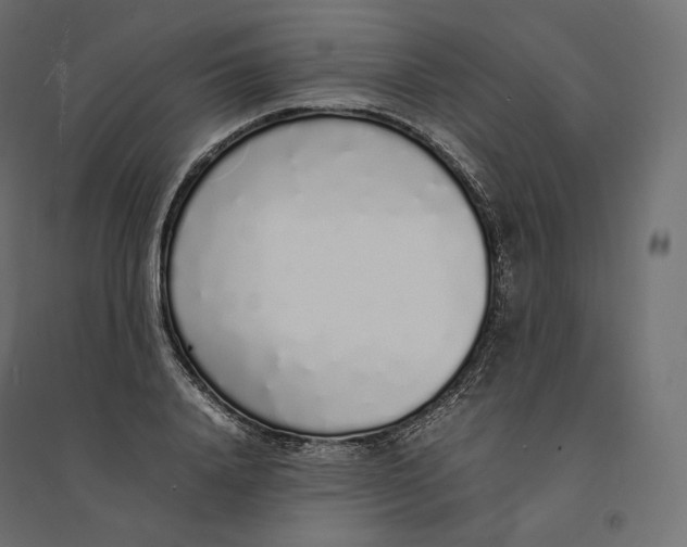 X0000094360840200711241935