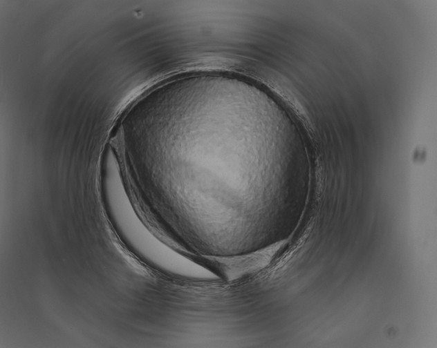 X0000094360842200711241935