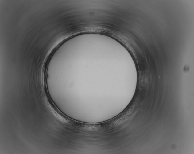 X0000094360843200711241935