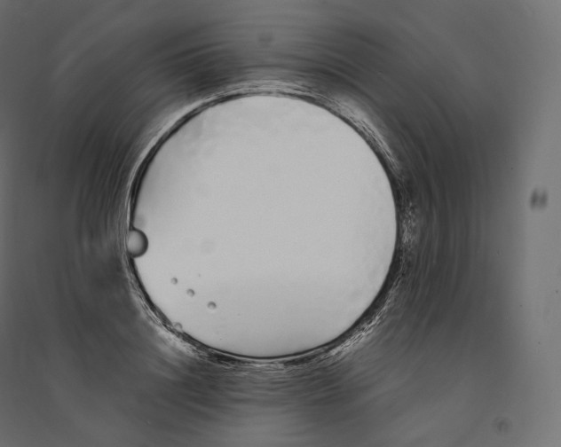 X0000094360844200711241935